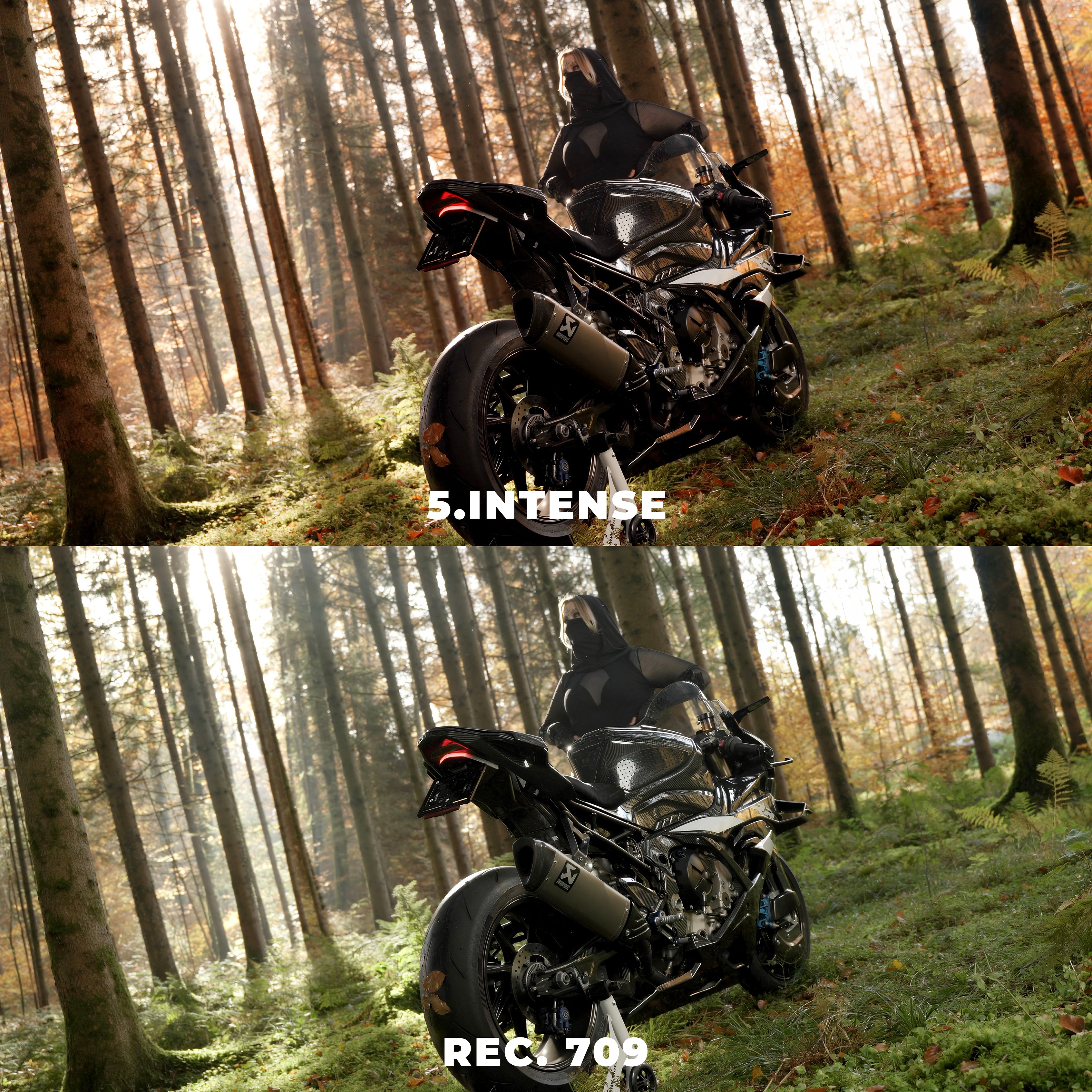 Signature Powergrade & LUT Bundle