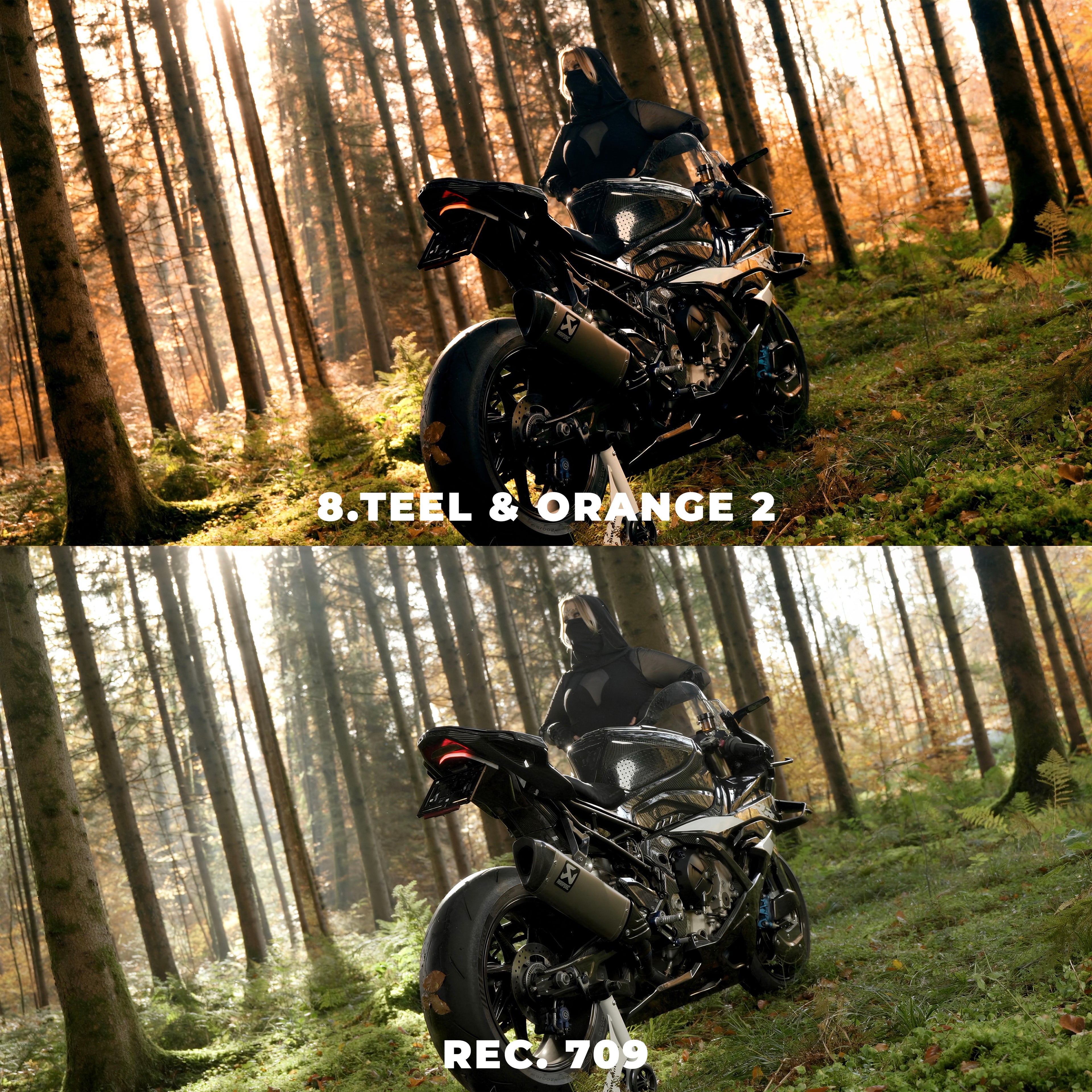 Signature Powergrade & LUT Bundle